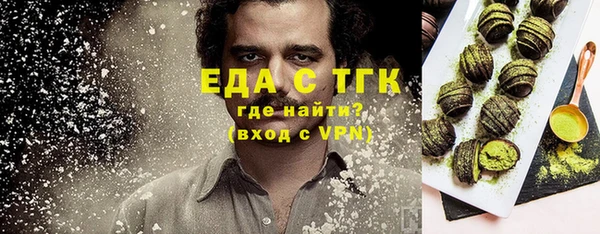 индика Абаза