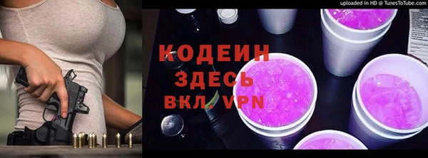 индика Абаза