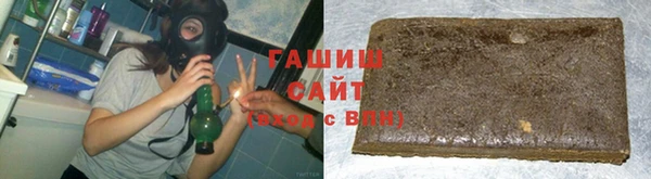 индика Абаза