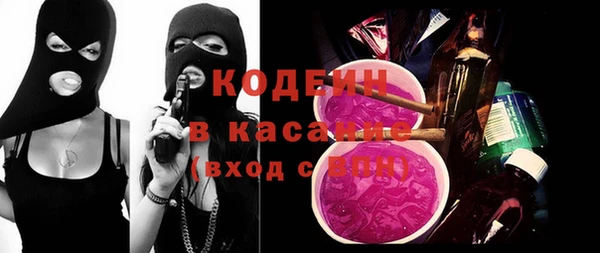индика Абаза