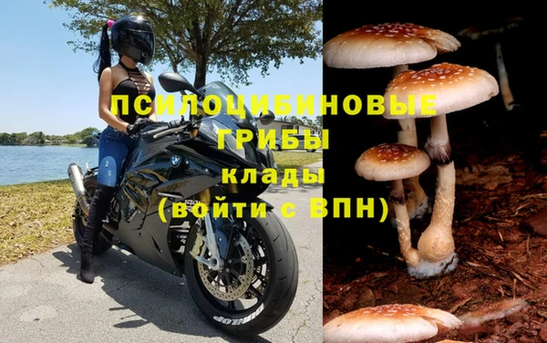 стаф Абдулино