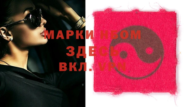 индика Абаза