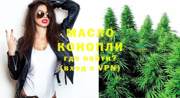мет Инта