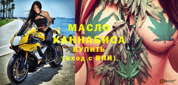 индика Абаза