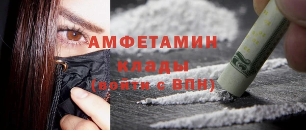 индика Абаза