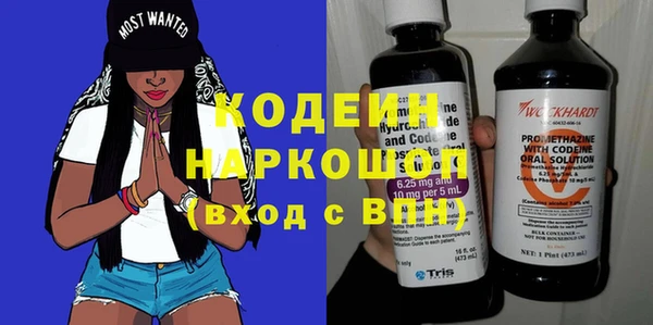 индика Абаза