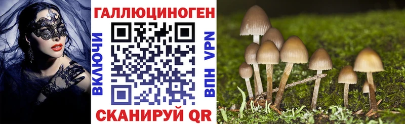 купить цена Юхнов Галлюциногенные грибы Cubensis